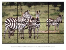 Puzzle-Zebra-3.pdf